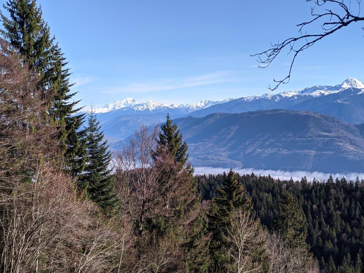 Appartement De Plain-Pied En Montagne Avec Vue Merveilleuse Sur Le Massif De Belledonne Saint Bernard du Touvet Eksteriør billede
