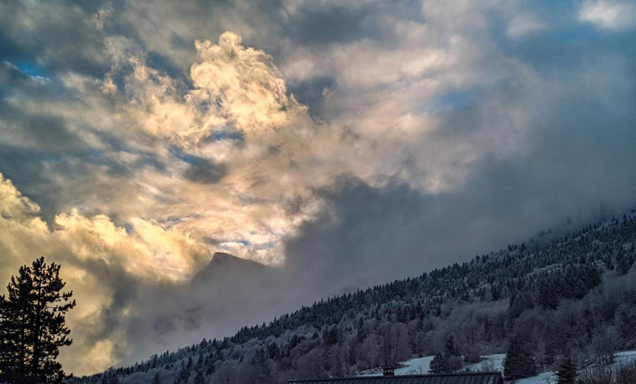 Appartement De Plain-Pied En Montagne Avec Vue Merveilleuse Sur Le Massif De Belledonne Saint Bernard du Touvet Eksteriør billede